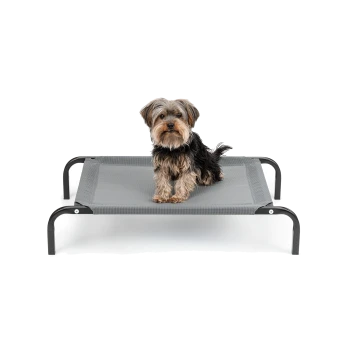 Ein kleiner, flauschiger Hund sitzt auf einem grauen erhöhten Haustierbett mit schwarzen Metallbeinen und zeigt einen komfortablen Ruheplatz.
