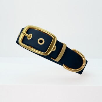 Marineblaues Haustierhalsband mit einer goldenen Schnalle und Hardware, auf einem weißen Hintergrund präsentiert.