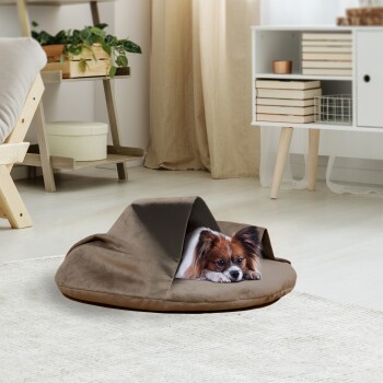 Ein gemütliches braunes Haustierbett mit einem weichen, kapuzenartigen Design, mit einem kleinen Hund, der von innen herausblickt, in einem hellen, modernen Wohnzimmer.