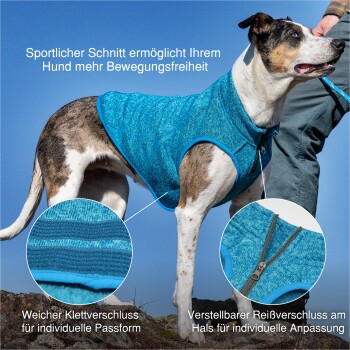 Ein Hund, der eine blaue sportliche Weste trägt, steht im Freien und zeigt Merkmale wie einen weichen Klettverschluss und einen verstellbaren Halsreißverschluss für eine individuelle Passform.