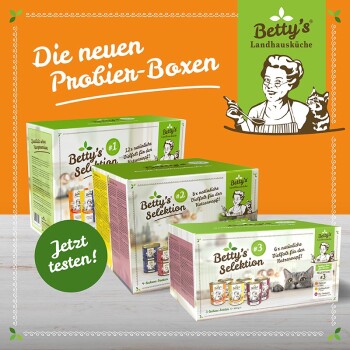 Drei bunte "Betty's Selektion" Katzenfutterboxen mit den Aufschriften #1, #2, #3, die natürliche Zutaten hervorheben und "Jetzt testen!"