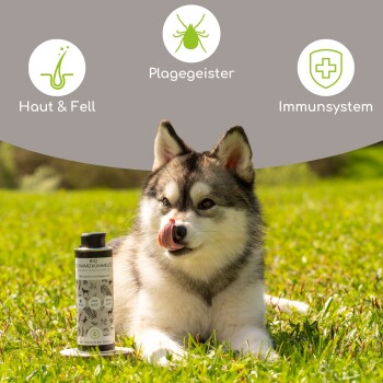 Flasche mit biologischem Schwarzkümmelöl mit silberner Kappe, mit einem naturthemen Design und dem Text "100% natürlich und kaltgepresst."