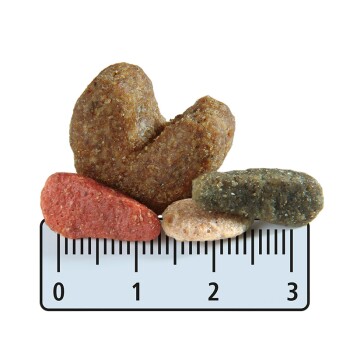 Light mit Geflügel & Reis 12kg