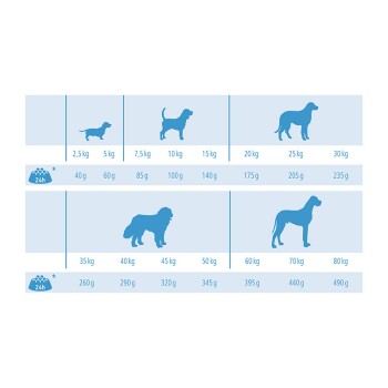 Light pour chien 12 kg