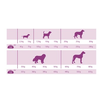Hund Senior 12 kg