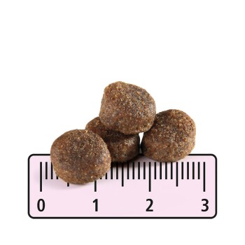 Hund Junior 12 kg