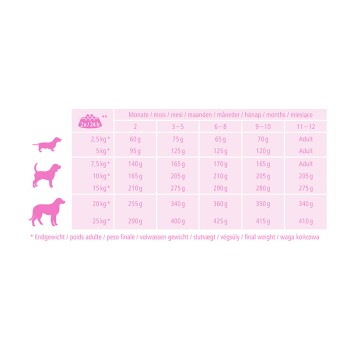 Hund Junior 12 kg