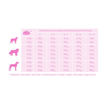 Junior Large Breed 12 kg