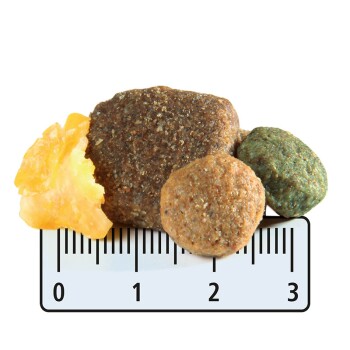 Maxi Adult mit Geflügel & Karotte 12kg