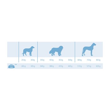 Large Breed 12 kg