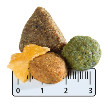 Hund Adult 3kg