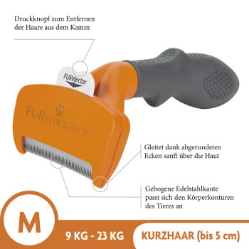 Hund M Kurzhaar (unter 5cm Felllänge)