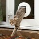 Lifestyle-with-microchip-cat-flap-3.jpg