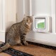Lifestyle-with-microchip-cat-flap-1.jpg
