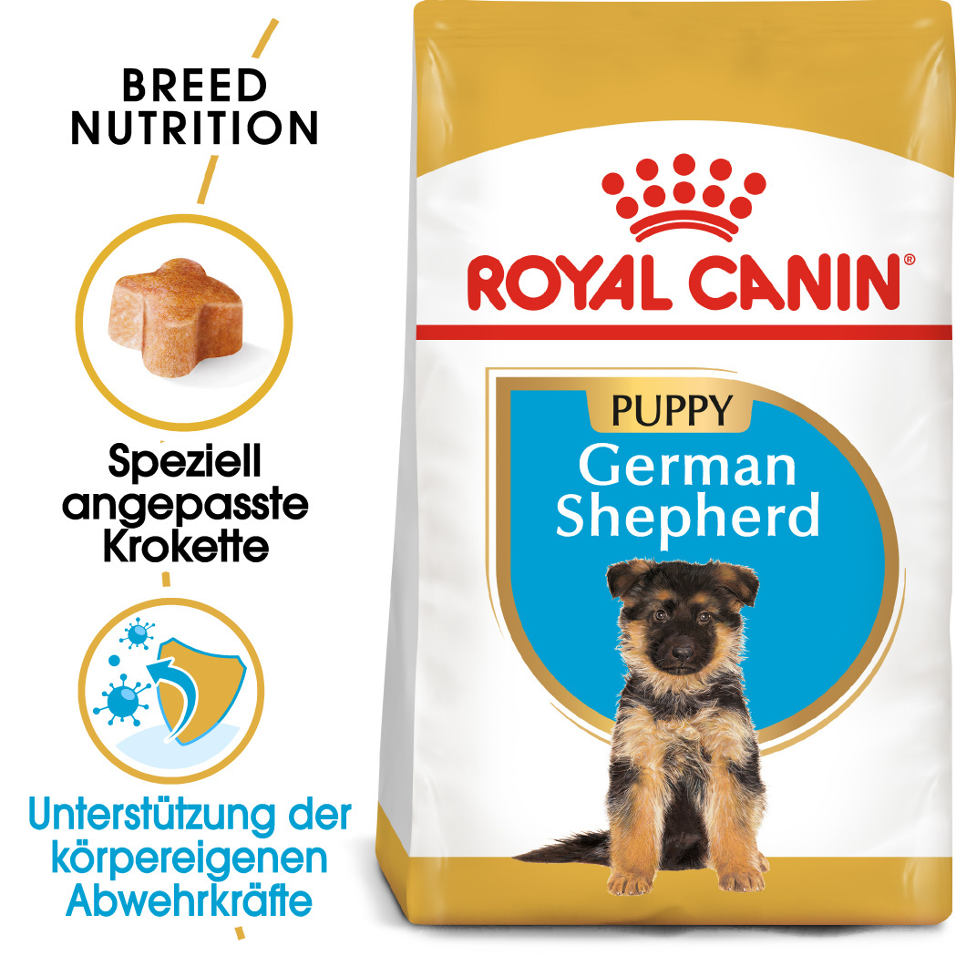 German Shepherd Puppy 3kg