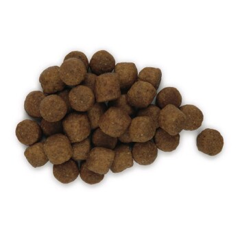 Science Plan Medium Adult 1-6 Huhn 3kg