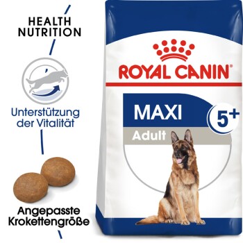 Maxi Adult 5+ 4kg