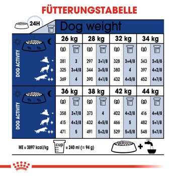 Maxi Adult 5+ 4kg