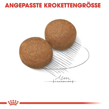 Maxi Adult 5+ 4kg
