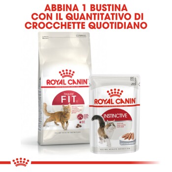 Royal Canin Fit 32 4 kg | MAXI ZOO