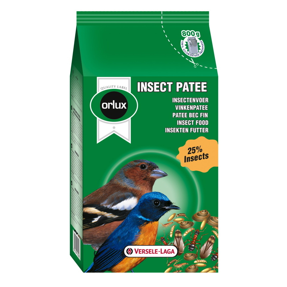 Insect Patee 800g