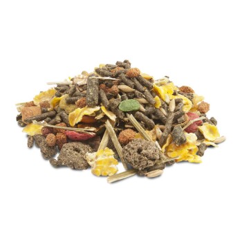 Crispy Muesli Guinea Pigs 20kg