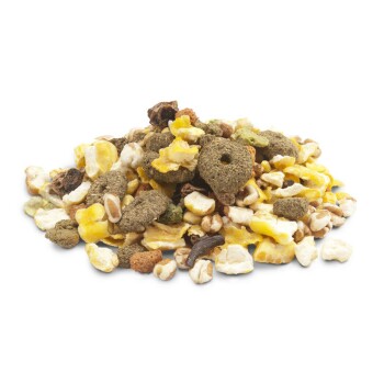 Crispy Snack Popcorn 10 kg