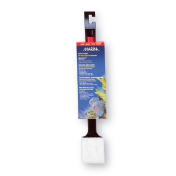 Algen-Schrubber groß