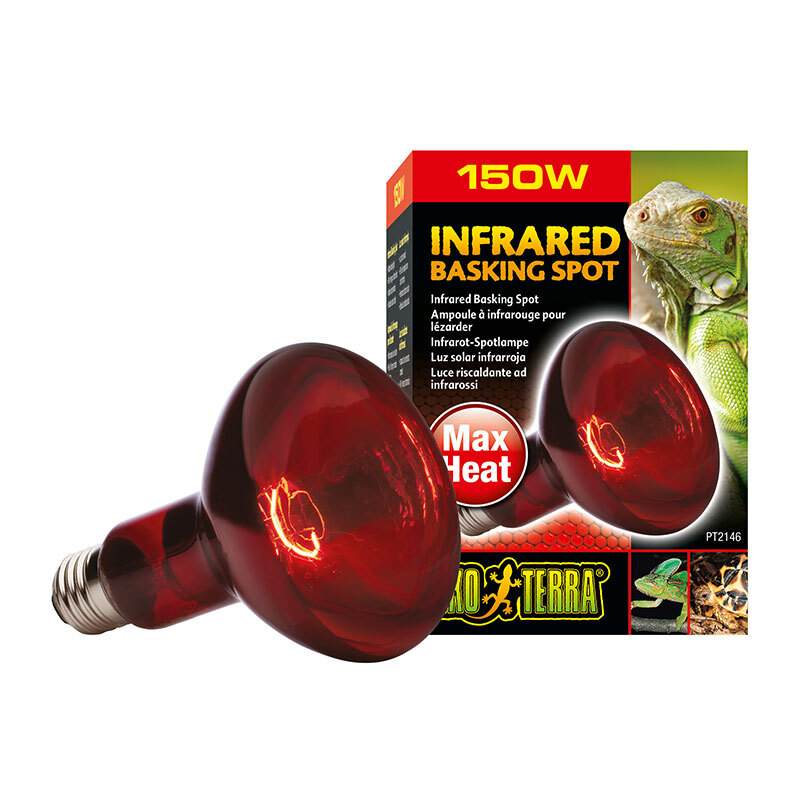 Exo Terra Infrarot-Spotlampe Heat GL R30/150 W