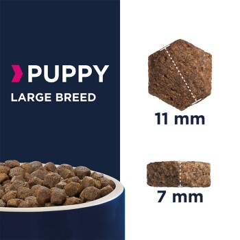 Puppy Large Breed 15 kg