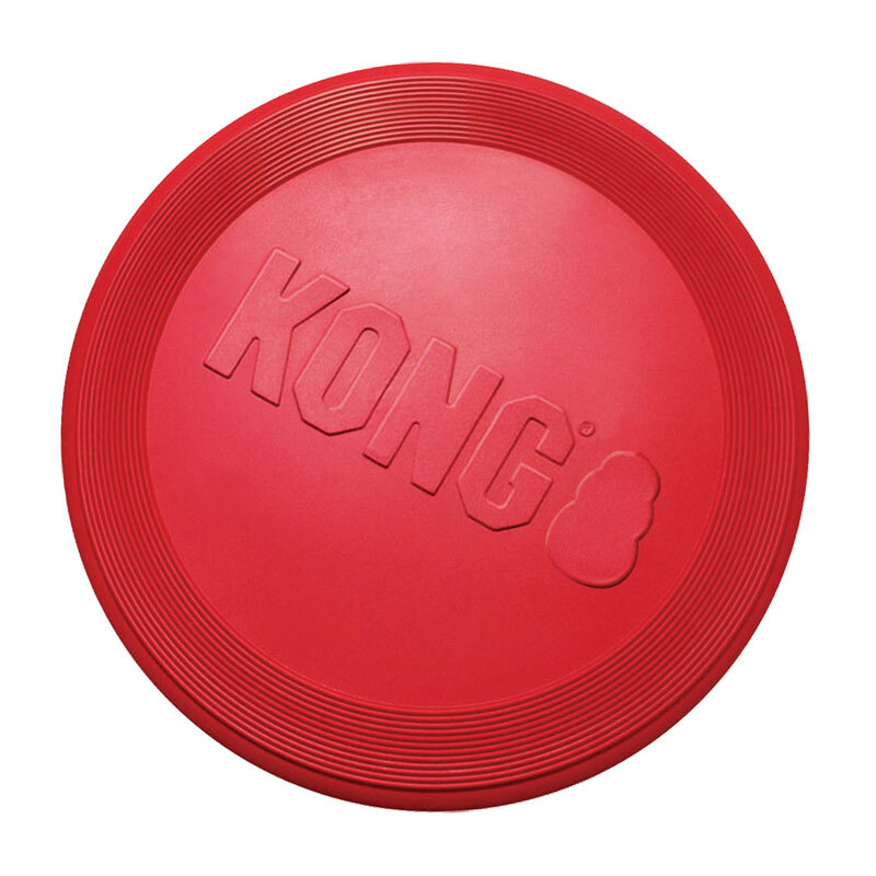 kong flyer large