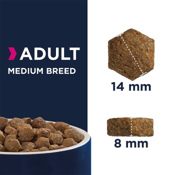 Adult Medium Breed 15 kg