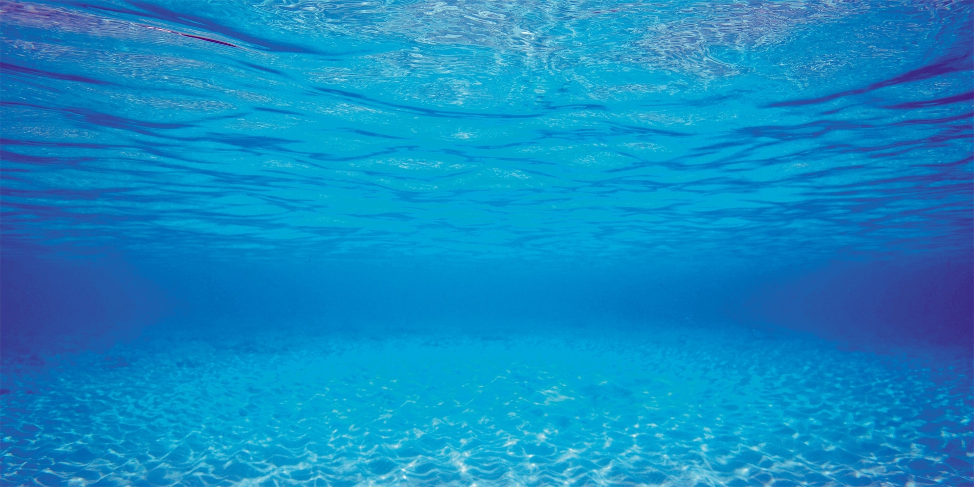 Juwel Aquarienrückwand Unterwasserwelt Größe L / 100x50 cm