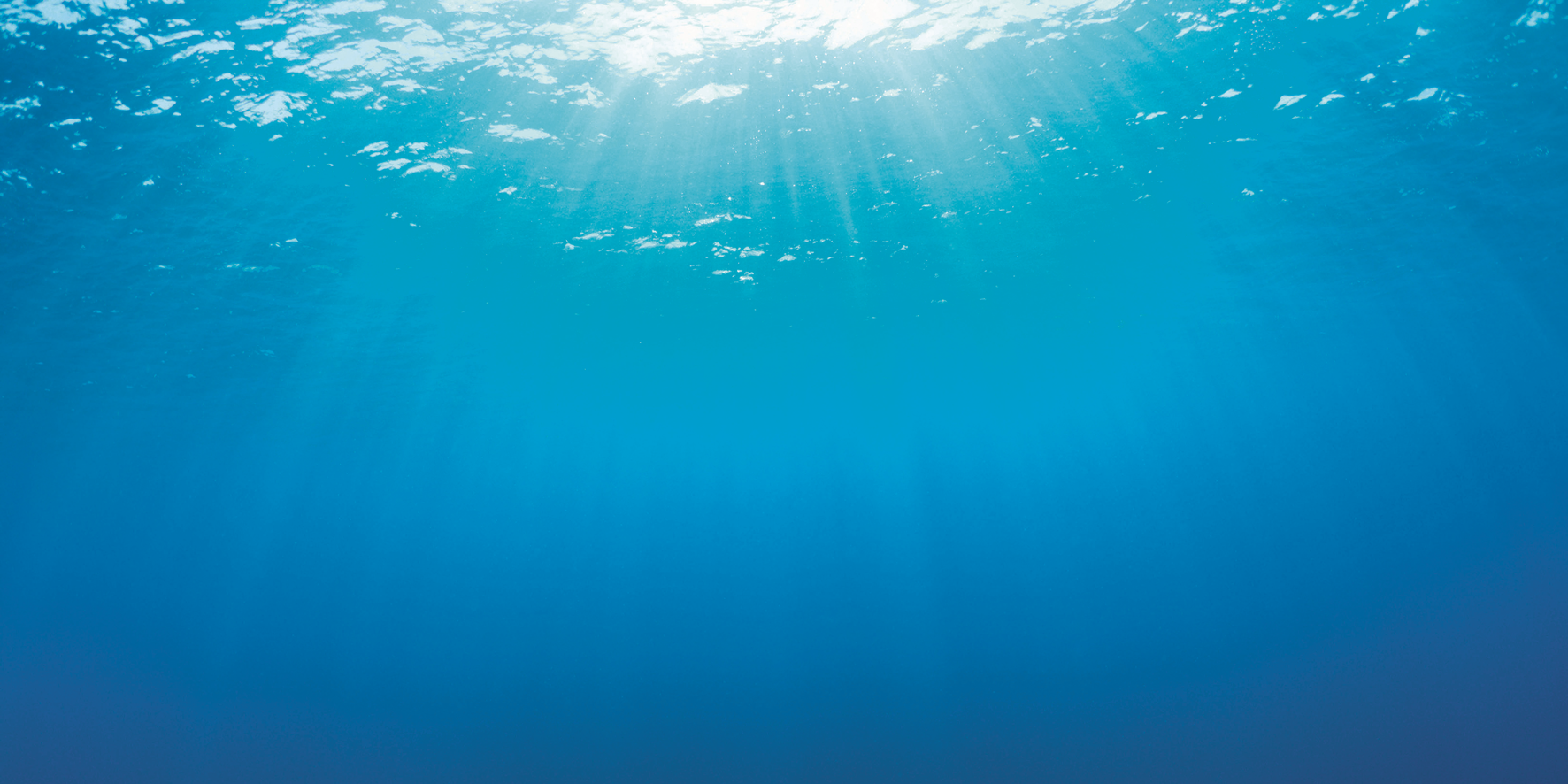 Juwel Aquarienrückwand Unterwasserwelt Größe XL / 150x60 cm