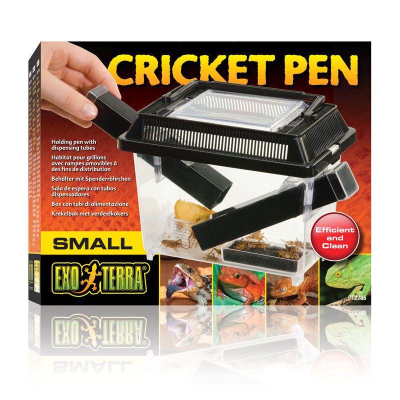 Cricket Box Klein