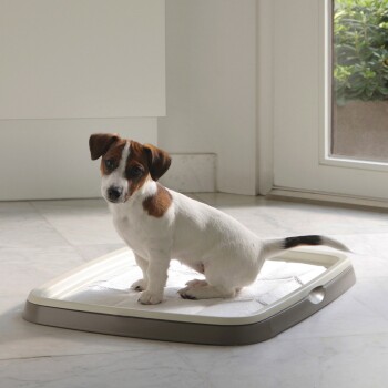 Toilette per cani Puppy/Senior confezione di avviamento S-M