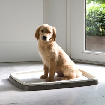 Hundetoilette Puppy/Senior Starter-Paket L