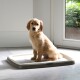 Toilette per cani Puppy/Senior confezione di avviamento L
