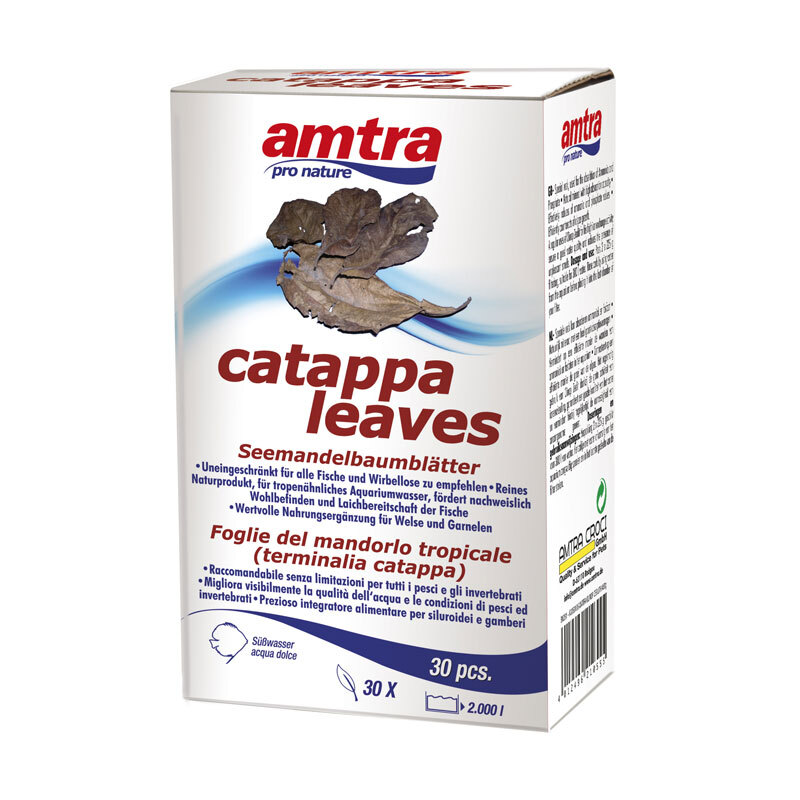 Amtra Catappa Leaves S 30 Stück