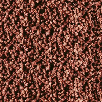 Discus Granulat Nature 100ml