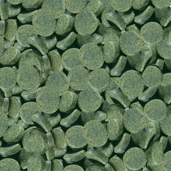 Spirulina Tabs Nature 100ml