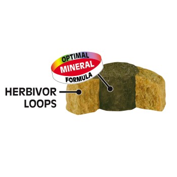 reptil Professional Herbivor 1l