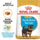 Yorkshire Terrier Puppy 1,5kg