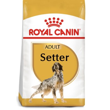 Boxer Adult 12 kg