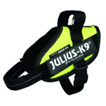 Szelki Neonowa żółć S, 40-53 cm