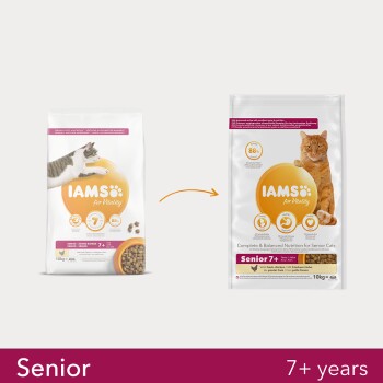 Vitality Senior Pollo 10 kg