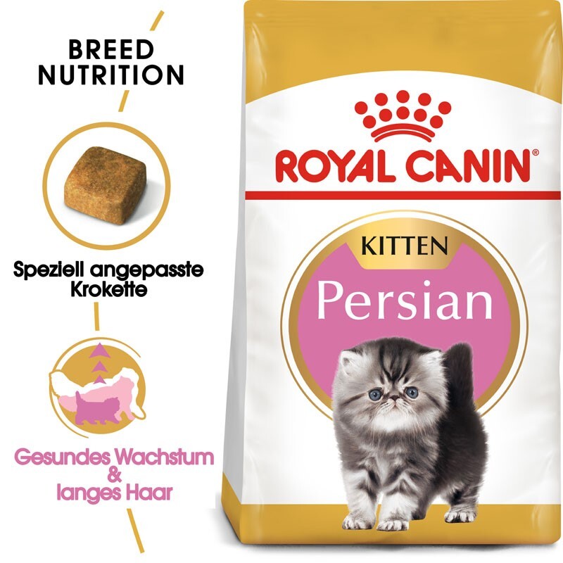 Persian Kitten 2kg