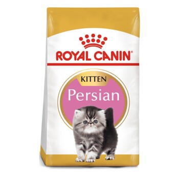 Persian Kitten 4 kg