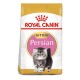 Persian Kitten 4 kg