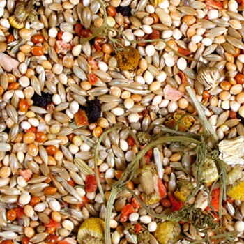 JR Birds Premium Wellensittich 1kg